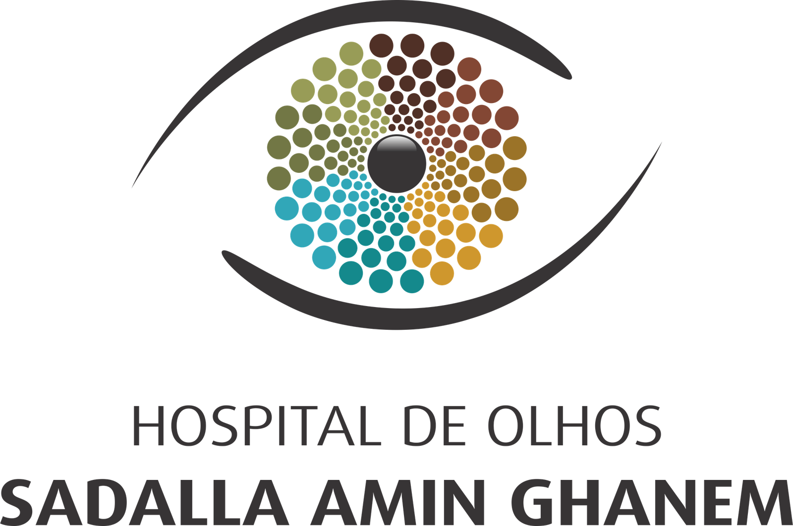 Hospital de Olhos Sadalla Amin Ghanem